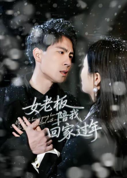 女老板陪我回家过年(全集)