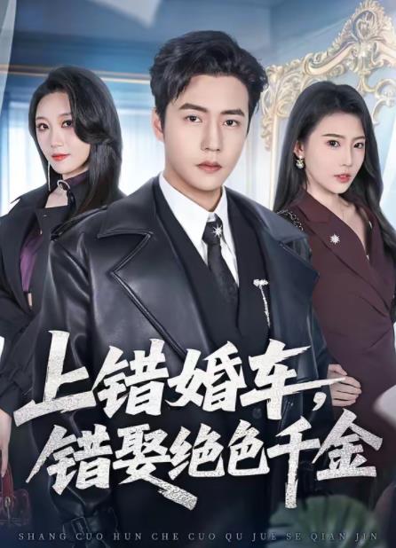 上错婚车，错娶绝色千金(全集)