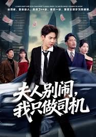 夫人别闹我只做司机(全集)