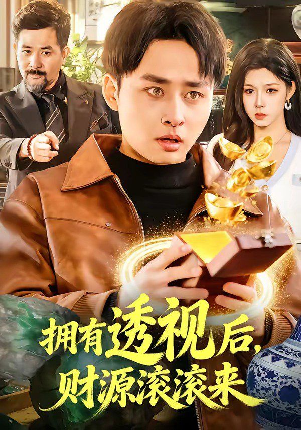 拥有透视后，财源滚滚来(全集)