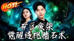 矿区废柴，觉醒透视赌石术(全集)