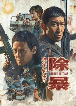 除暴·独家纪录片 HD国语上
