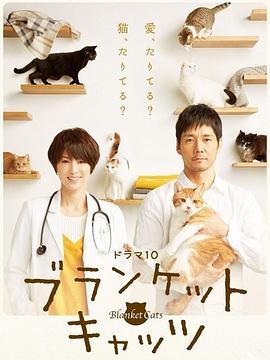毛毯猫 第03集