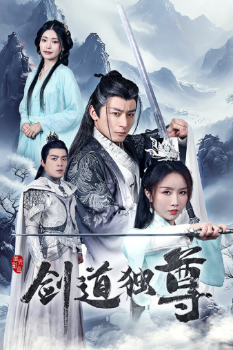 剑道独尊 第21集