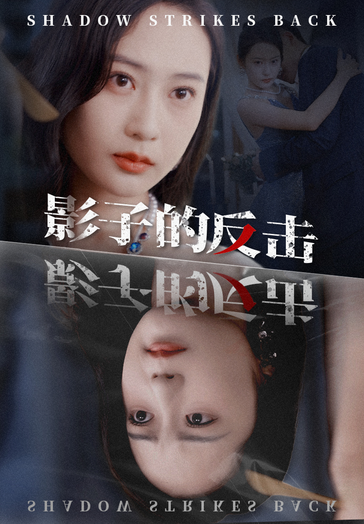 影子的反击 第23集