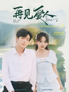 再见爱人 第48集