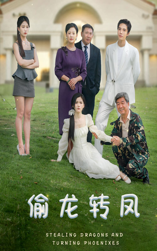 偷龙转凤短剧 第79集