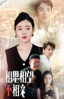相思相望不相亲 第47集