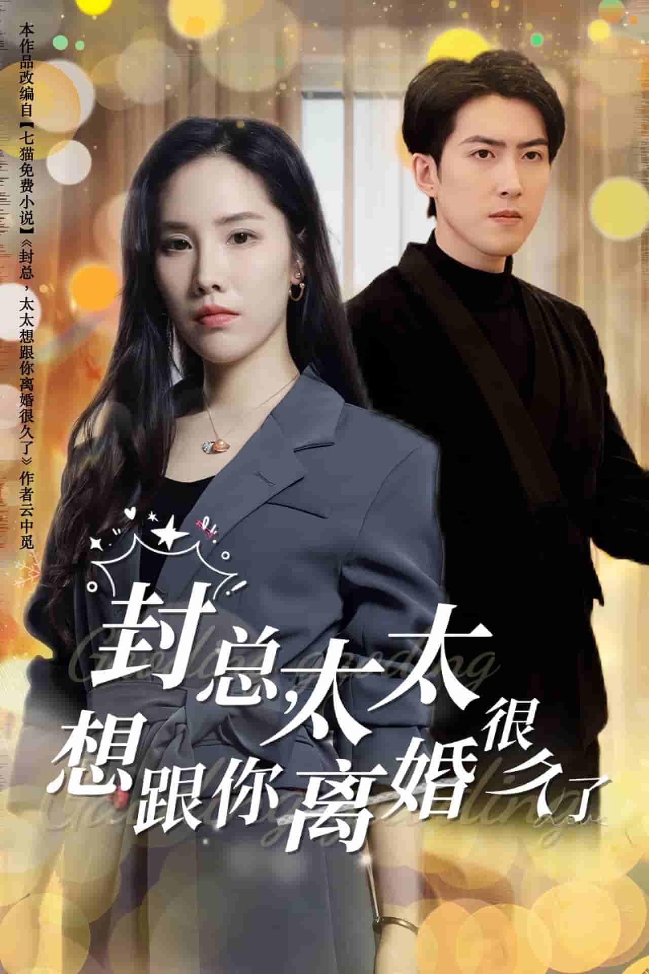 封总太太想跟你离婚很久了 第36集