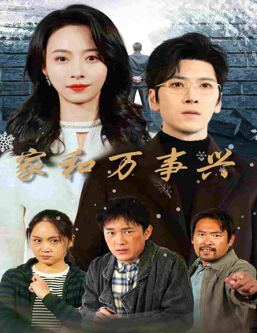 家和万事兴 短剧版 第17集