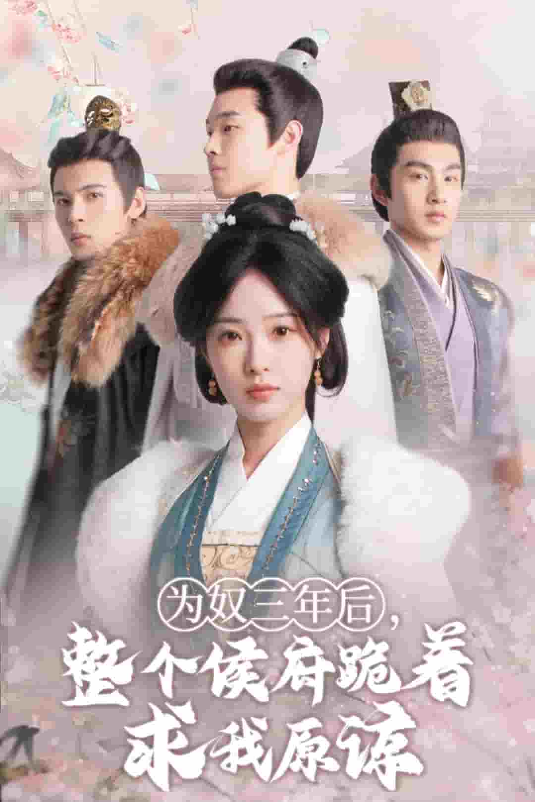 为奴三年后，整个侯府跪着求我原谅 第11集