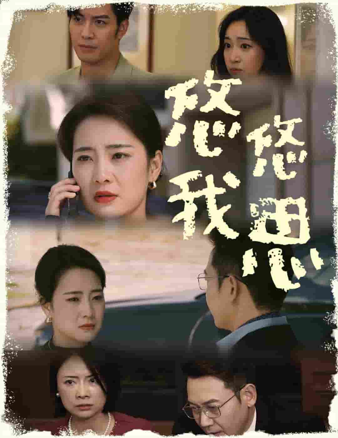 悠悠我思 第22集