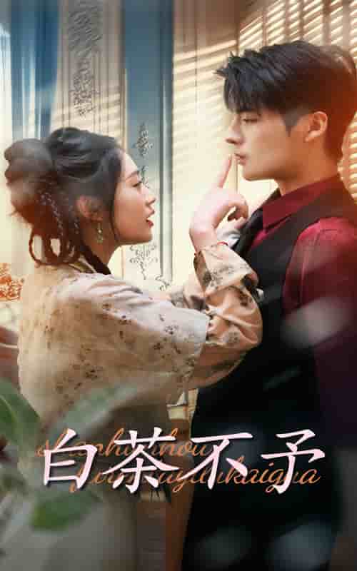白茶不予 第62集