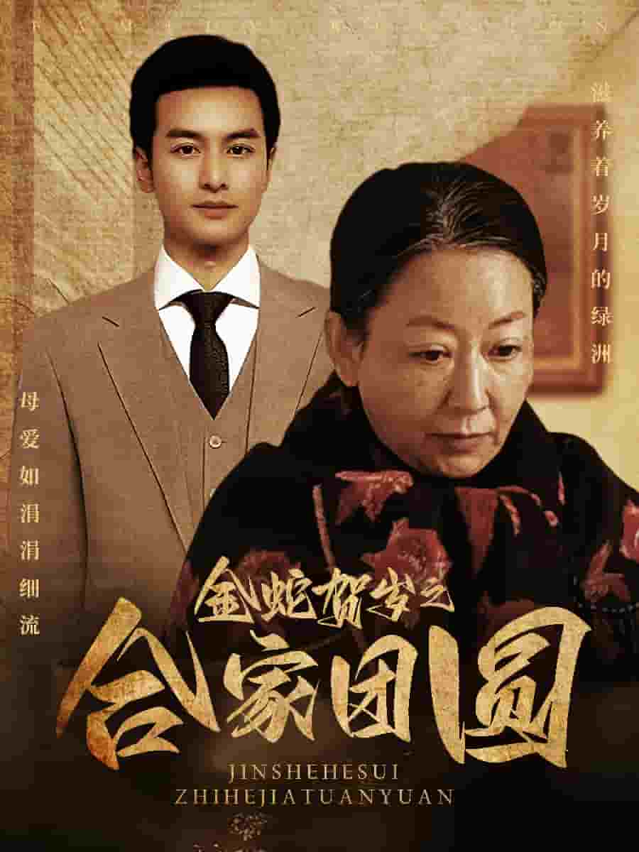 金蛇贺岁之合家团圆 第21集