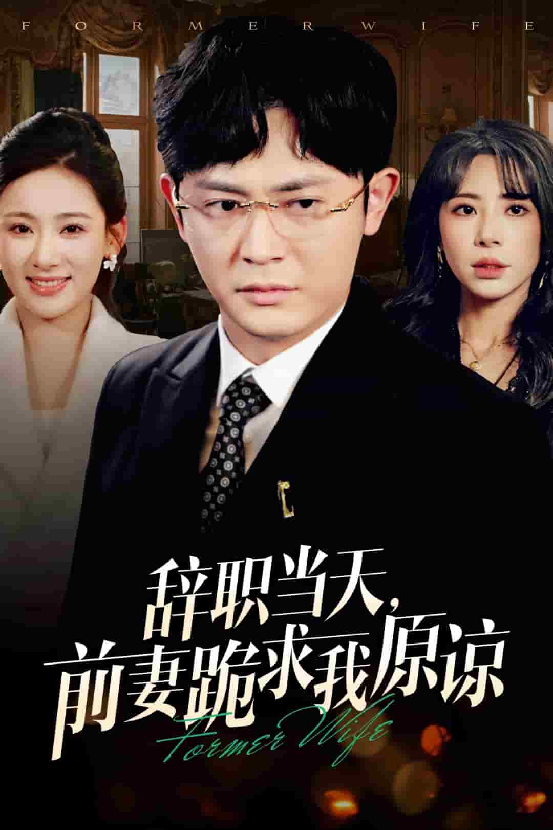 辞职当天前妻哭着求我原谅 第11集