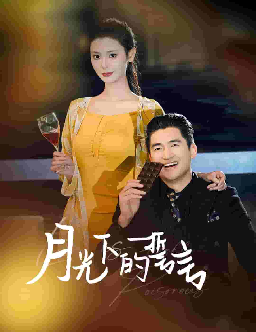 月光下的誓言 第17集
