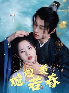 婉婉若羡春 第26集