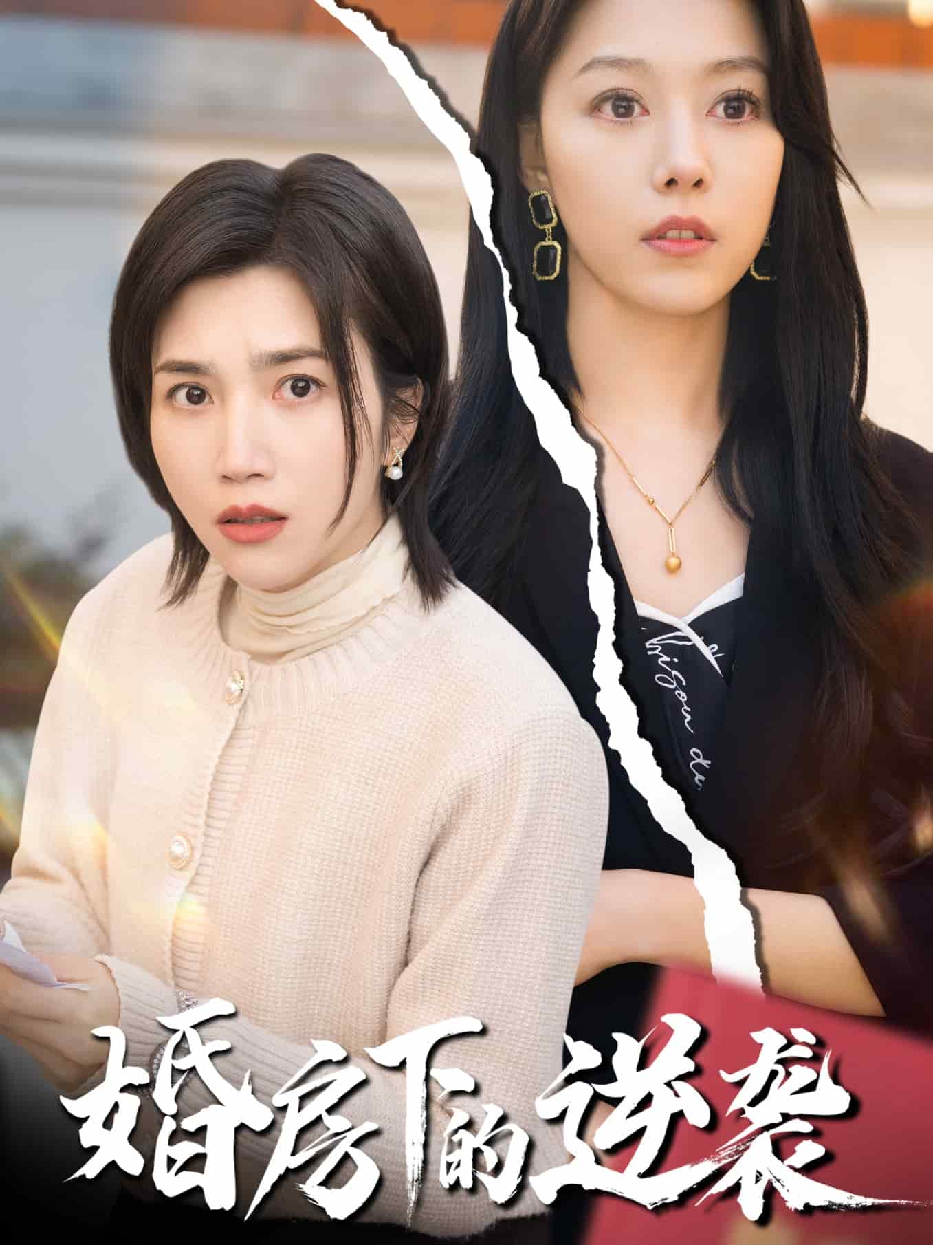 婚房下的逆袭 第38集(大结局)