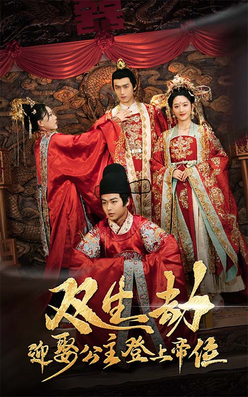 双生劫迎娶公主登上帝位 第19集