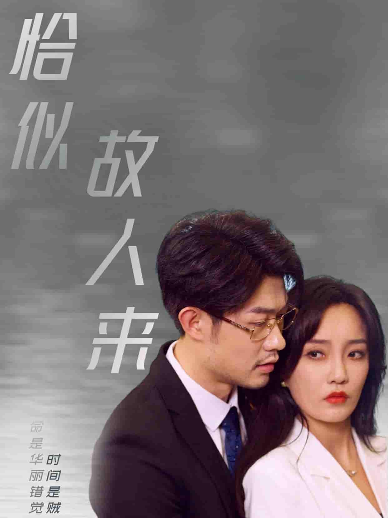 恰似故人来 第1集