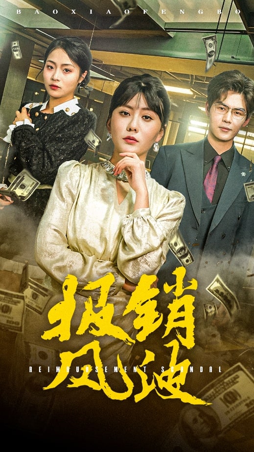 报销风波 第21集